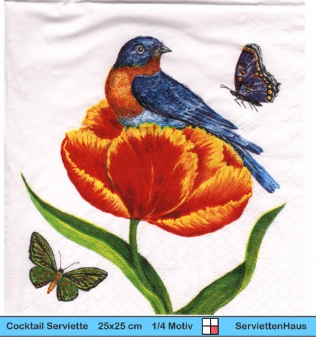 Blüte und Vogel - Schwalbe und Schmetterling in Tulpe - 1 Cocktail Serviette